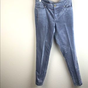 WHBM Skimmer Velvet Jeans